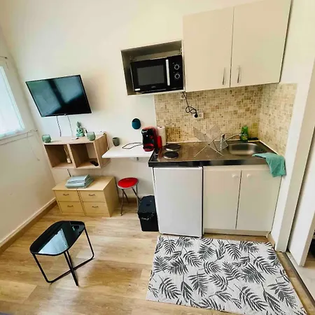 Appartement Studio Beaugrenelle - 770 Metre De La Tour Effel Parijs